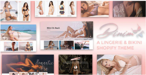 Binim Lingerie Bikini Responsive Shopify